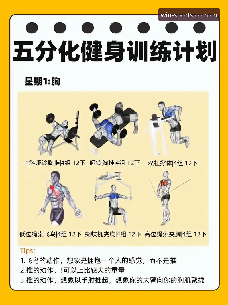 完美体育使用教程对比：2025新版与传统版的五大升级实用指南